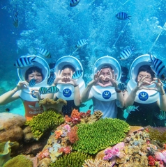 Tour đi bộ dưới biển Nha Trang