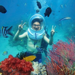 Tour đi bộ dưới biển Nha Trang