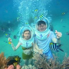 Tour đi bộ dưới biển Nha Trang