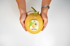 Dưa Lưới Premium Golden Melons - Hữu cơ giống loại 1