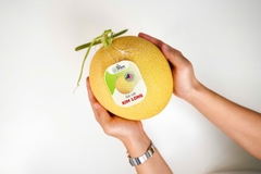 Dưa Lưới Premium Golden Melons - Hữu cơ giống loại 1