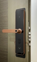 Khoá Cửa Thông Minh Xiaomi Lockin X1 - Bản Quốc Tế