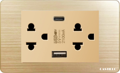 Ổ cắm đôi Kiểu Thái + USB x2 (TypeC) Inox Xước VÀNG
