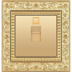 Ổ cắm Internet Đồng Vàng 24k