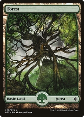 Magic: The Gathering - Battle for Zendikar - Forest (273)