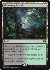 Magic: The Gathering - Kaladesh - Blooming Marsh (243)