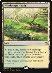 Magic: The Gathering - Khans of Tarkir - Windswept Heath (248)