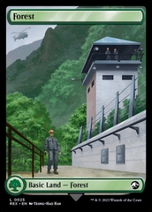 Magic: The Gathering - Jurassic World Collection - Forest (25)