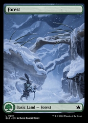Magic: The Gathering - Bloomburrow - Forest (281)