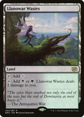 Magic: The Gathering - The Brothers' War - Llanowar Wastes (264)