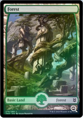 Magic: The Gathering - Zendikar Rising - Forest (279)