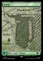 Magic the Gathering - The Lord of the Rings: Tales of Middle-earth - Forest (0280)