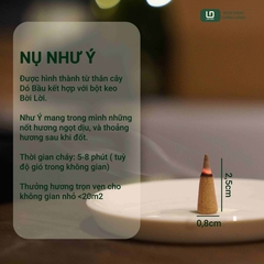 COMBO 2 HỘP NHƯ Ý FULL SIZE