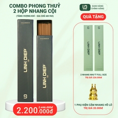 COMBO PHONG THUỶ 2 HỘP NHANG CỘI FULL-SIZE