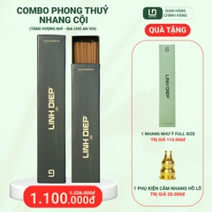 COMBO PHONG THUỶ 1 HỘP NHANG CỘI FULL-SIZE