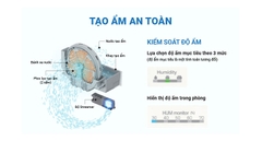 Máy lọc không khí tạo ẩm Daikin là gì? Có nên mua?
