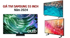 Tivi Samsung 55 inch giá bao nhiêu? Cập nhật tháng 10 năm 2024