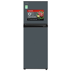 Tủ lạnh Toshiba GR-RT303WE-PMV(52) Inverter 233 lít - Chính hãng