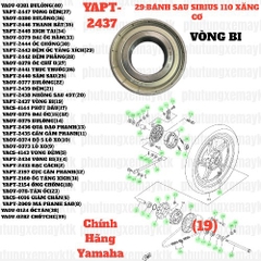 [SIRC][29:BÁNH SAU] YAPT-2437 VÒNG BI SIRIUS RC-T110LE (19)-[Yamaha], SIRIUS FI [29:BÁNH(19)]