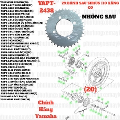 [SIRC][29:BÁNH SAU] YAPT-2438 NHÔNG SAU 49T SIRIUS RC-T110LE (20)-[Yamaha]