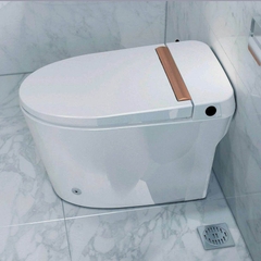 Bồn bán thông minh, cảm ứng đá chân xả nước