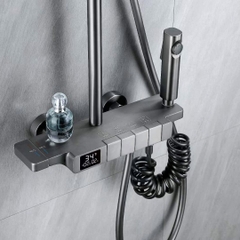 Sen cây tắm mạ PVD màu ghi xám