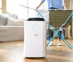 Máy lọc không khí và hút ẩm Taurus DH243