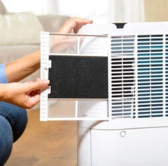 Máy lọc không khí và hút ẩm Taurus DH243