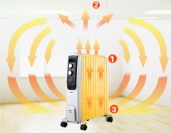 Máy sưởi dầu 10 thanh Roler RH-2118