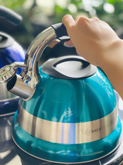ẤM ĐUN BẾP TỪ THỔI SÁO ARBER AB03DMDT 3L