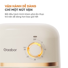 Nồi chiên không dầu GAABOR AF20M-YE01A dung tích 2L công suất 900W