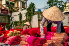Quang Phu Cau Incense Village Half-Day Tour