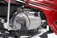 Y-33 Màu lông chuột (Bloc Yamaha)
