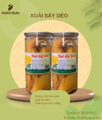 Xoài sấy dẻo (500gram)