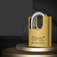 Ổ KHÓA CHỐNG CẮT OPEL (ĐỒNG, 5 CHÌA ĐIỆN TỬ)