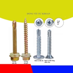Vít bắn ngói Dinosaur (Song Long) vít tự khoan đầu bằng