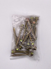 Vít bắn tôn gỗ vít bắn gỗ vít tole Dinosaur (Song Long)