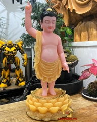 Tượng phật đản sanh màu vàng đứng trên đài sen cao 40 - 48 cm