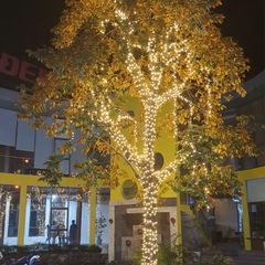 Đèn dây Led F5 quấn cây đế 9mm điện áp 5V (12V) các màu chống nước, F5 trang trí nhà cửa, F5 nháy đủ màu, trang trí Noel, trang trí Tết (Không kèm bộ nguồn)