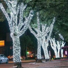 Đèn dây Led F5 quấn cây đế 9mm điện áp 5V (12V) các màu chống nước, F5 trang trí nhà cửa, F5 nháy đủ màu, trang trí Noel, trang trí Tết (Không kèm bộ nguồn)