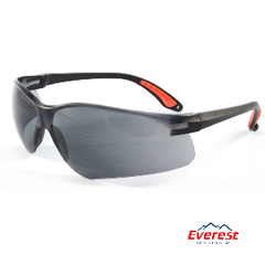 Kính everest EV-202