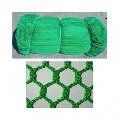 Lưới an toàn Hàn Quốc