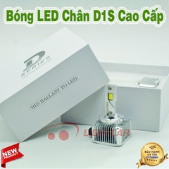 Bóng LED Chân D1S Cao Cấp Cho Xe Sang