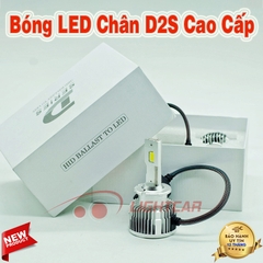 Bóng LED Chân D2S Cao Cấp Cho Xe Sang