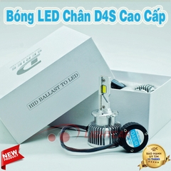 Bóng LED Chân D4S Cao Cấp Cho Xe Sang