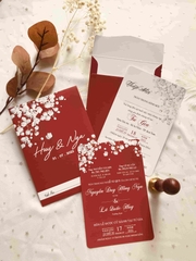 (RR-D18) Thiệp Cưới In Hình CD-CR - Giấy Ford 200