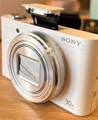 Sony WX500