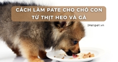 Cách làm Pate cho chó con từ thịt heo và gà - đơn giản, dễ làm tại nhà