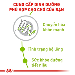 Thức Ăn Hạt Cho Chó Xsmall Adult