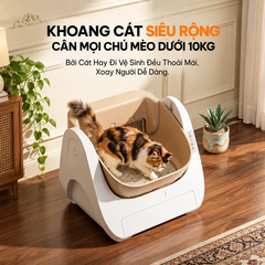 Máy dọn vệ sinh mèo tự động HELIPET Open Top Basic